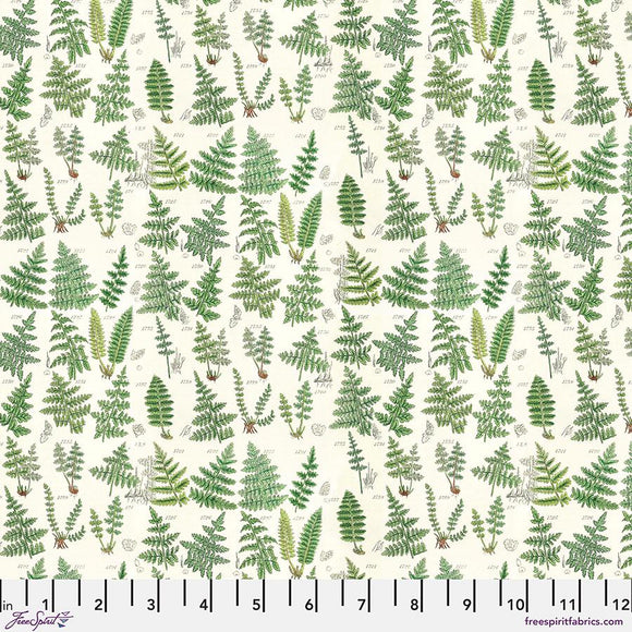 Green Ferns || Tim Holtz Palette - Green || Free Spirit