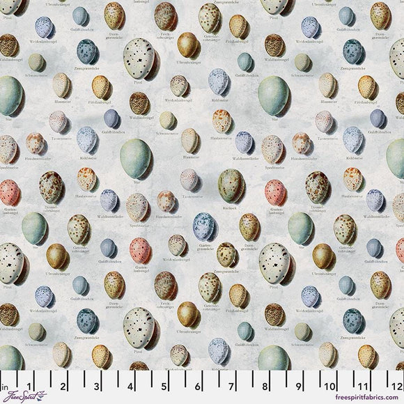 Blue Eggs – Tim Holtz Palette Monthly Collection | Free Spirit Fabric | Quilting Cotton by the Yard | Vintage Art Fabric in Blue