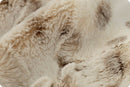Luxe Cuddle® Arctic Lynx Ice Taupe