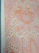 Tula Pink ROAR! || Gift Rapt - Blush || Quilting Cotton