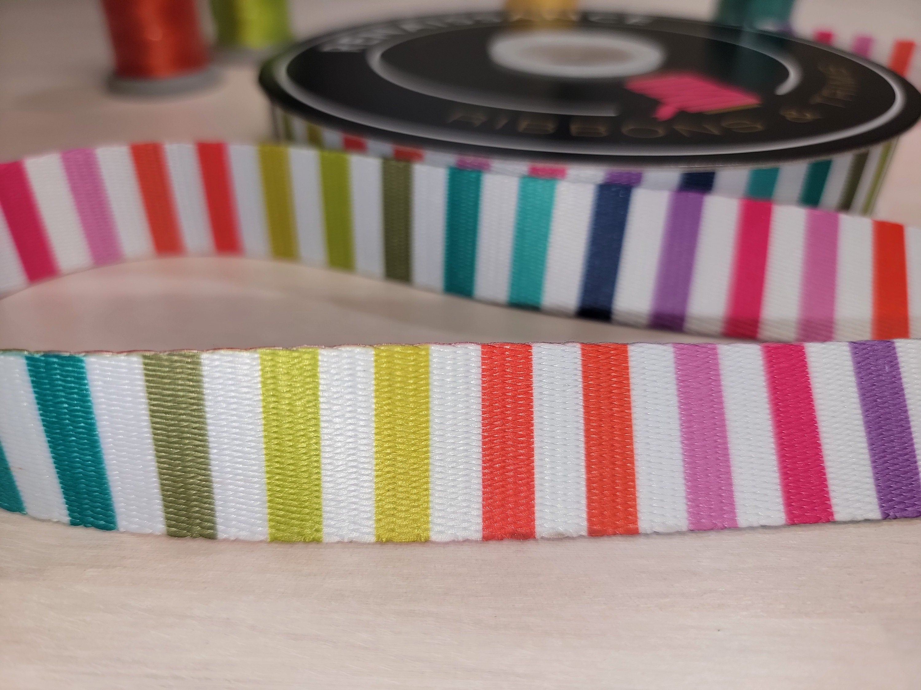 Tula Pink Disco Stripe - Rainbow/Multi Webbing || 1 Inch Wide