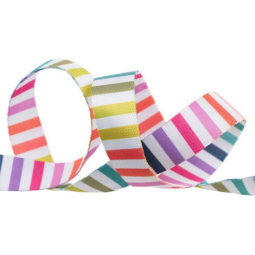 Tula Pink Disco Stripe - Rainbow/Multi Webbing || 1 Inch Wide