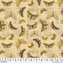 Yellow - Specimen ||Tim Holtz Palette Monthly Collection || Free Spirit