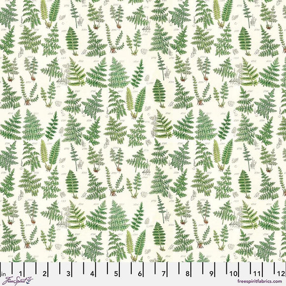 Green Ferns || Tim Holtz Palette - Green || Free Spirit