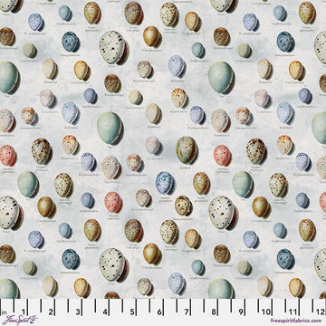 Blue Eggs – Tim Holtz Palette Monthly Collection | Free Spirit Fabric | Quilting Cotton by the Yard | Vintage Art Fabric in Blue