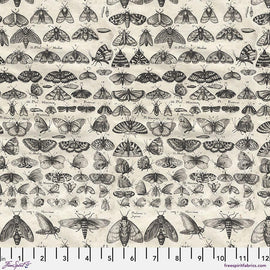 Charcoal Moths - Charcoal || Tim Holtz Palette Monthly Collection || Free Spirit