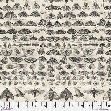 Charcoal Moths - Charcoal || Tim Holtz Palette Monthly Collection || Free Spirit