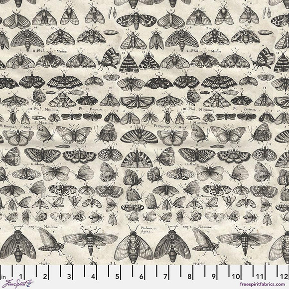 Charcoal Moths - Charcoal || Tim Holtz Palette Monthly Collection || Free Spirit