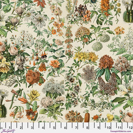 Orange Botanical Canvas - Orange || Palette Canvas Cloth - Tim Holtz Palette Canvas Cloth from FreeSpirit Fabrics
