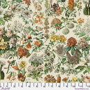 Orange Botanical Canvas - Orange || Palette Canvas Cloth - Tim Holtz Palette Canvas Cloth from FreeSpirit Fabrics