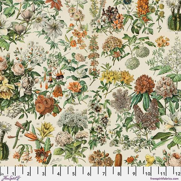 Orange Botanical Canvas - Orange || Palette Canvas Cloth - Tim Holtz Palette Canvas Cloth from FreeSpirit Fabrics