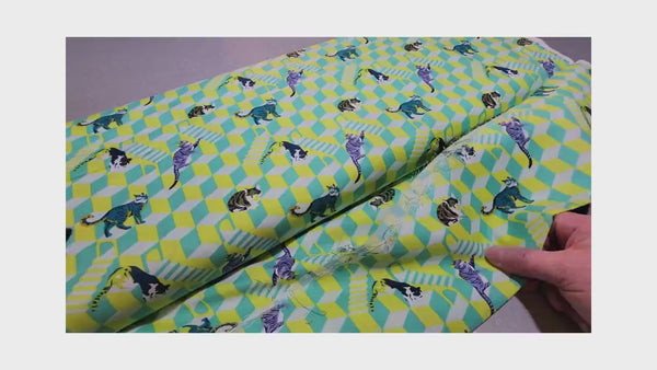 Tula Pink - Sitting Pretty - Meadow - Besties from Free Spirit Fabrics