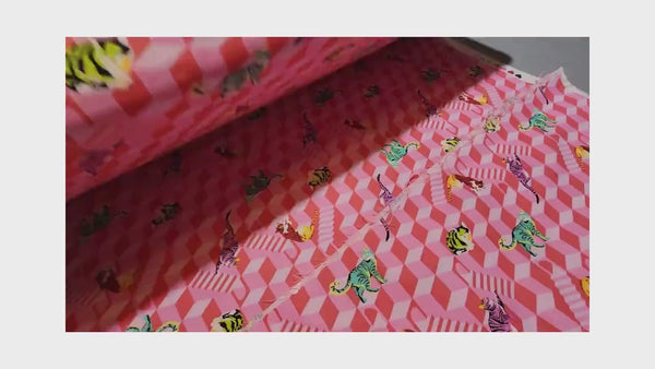 Tula Pink - Sitting Pretty - Blossom - Besties from Free Spirit Fabrics